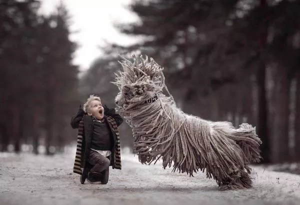 Dogs an endless source of entertainment - #28 