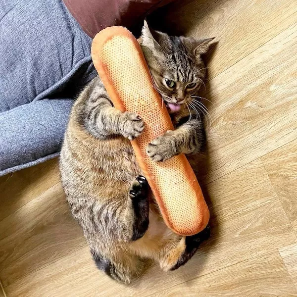 Picdump 1110