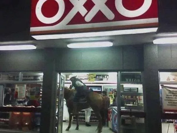 Picdump 1110 - #33 