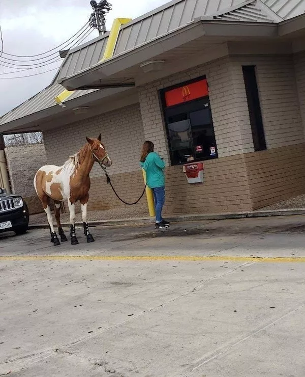 Picdump 1111 - #14 