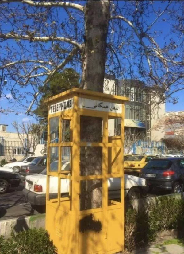 Picdump 1111 - #23 