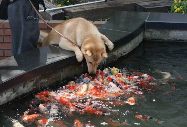 Picdump 1111 - #29 