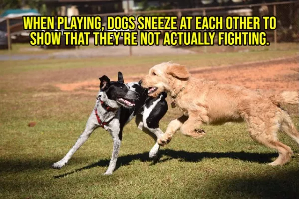 Happy facts to brighten your day - #14 