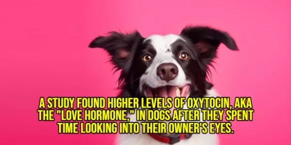 Happy facts to brighten your day - #20 