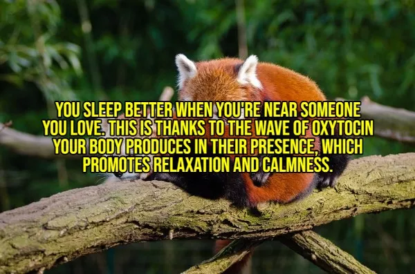 Happy facts to brighten your day - #4 