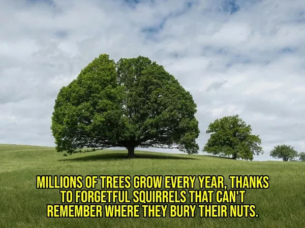 Happy facts to brighten your day - #6 