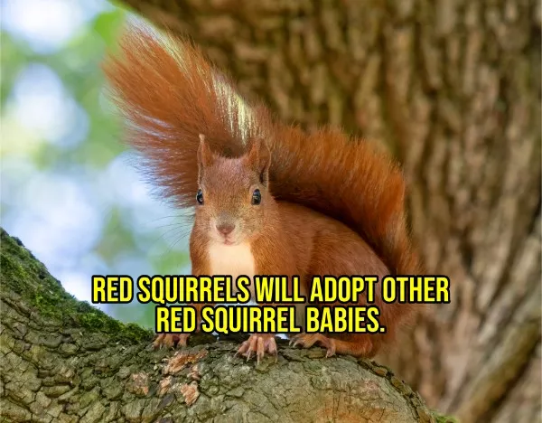 Happy facts to brighten your day - #8 