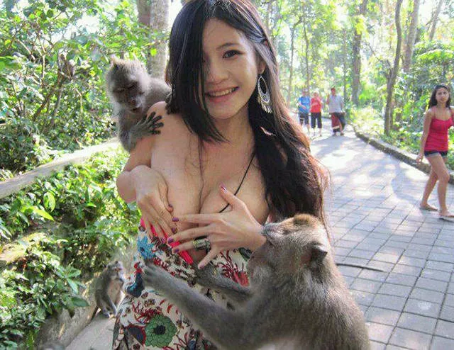 Bienvenue en thailande culture nature et traditions