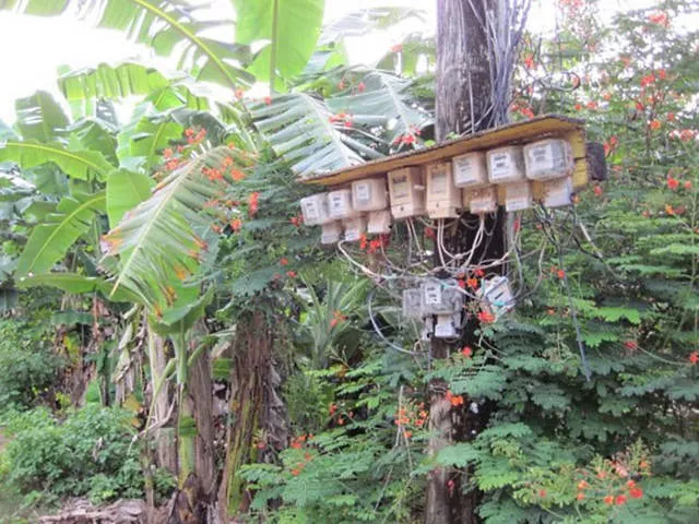 Bienvenue en thailande culture nature et traditions - #15 