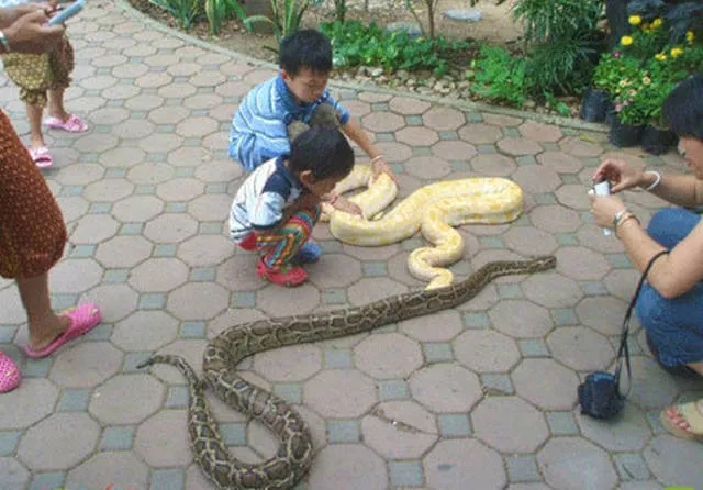 Bienvenue en thailande culture nature et traditions - #16 