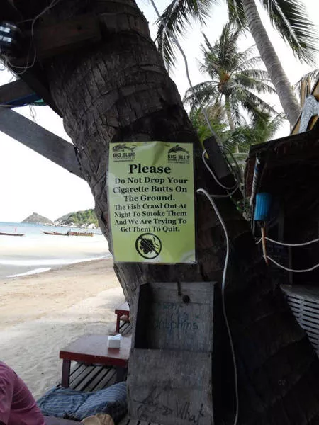 Bienvenue en thailande culture nature et traditions - #26 