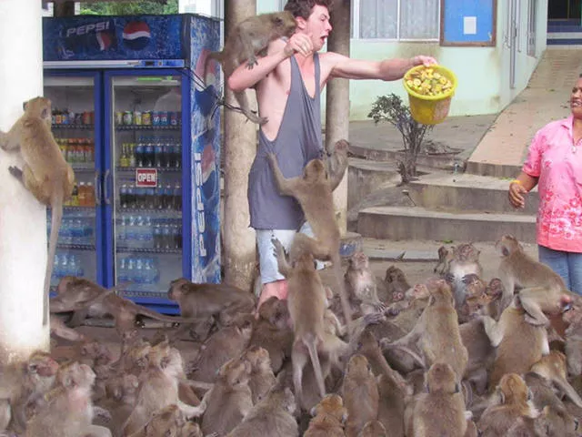 Bienvenue en thailande culture nature et traditions - #29 