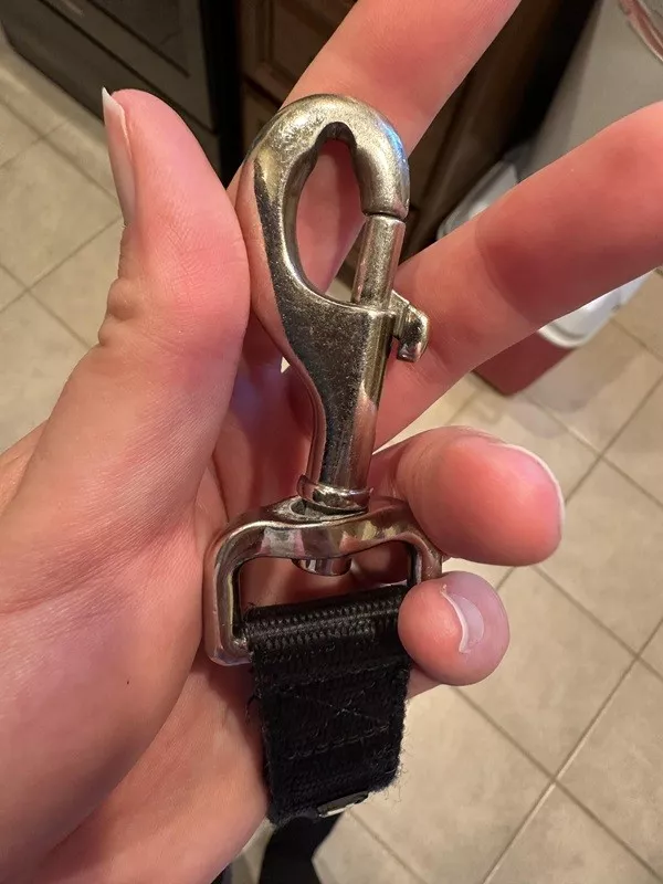 The beauty is in the little things - #21 The wear on my dog's leash after 4.5 years The beauty is in the little things - #21 The wear on my dog's leash after 4.5 years