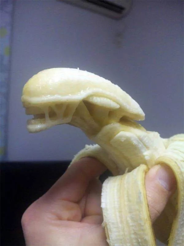 Picdump 1113 - #21 