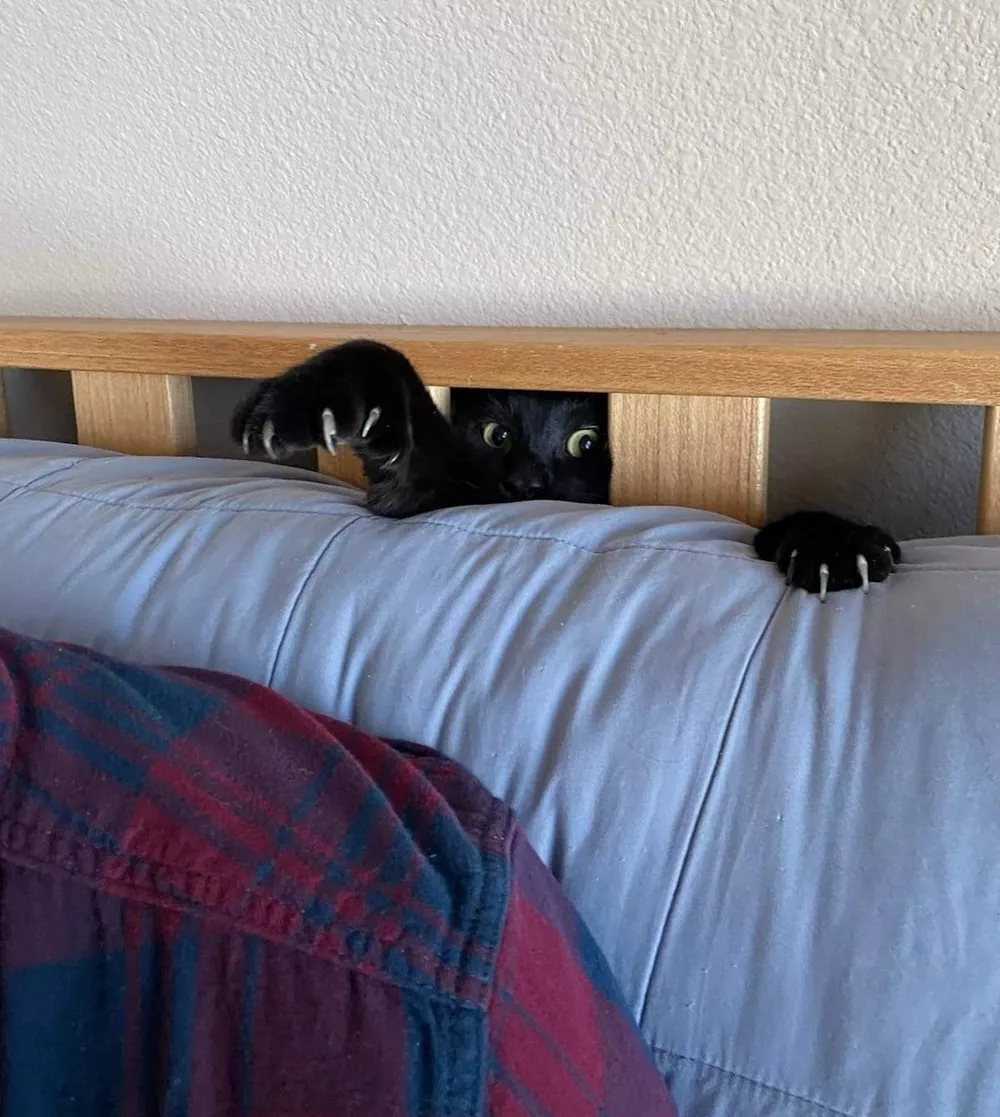 Picdump 1114 votre dose de rire - #11 
