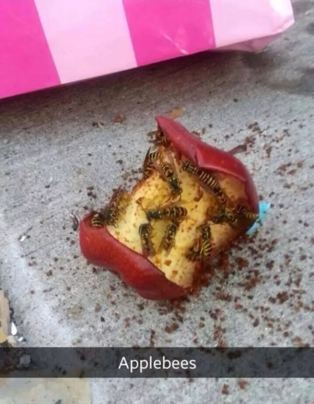 Your daily dose of random fun picdump 1114 - #15 