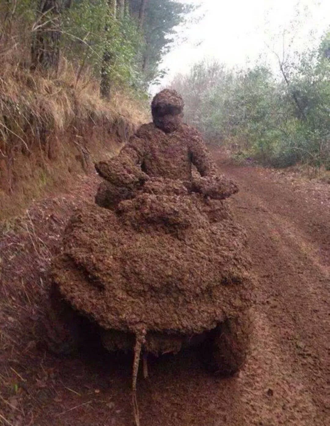 Your daily dose of random fun picdump 1114 - #17 