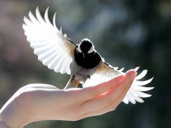 Start your day with pure awesomeness - #18 