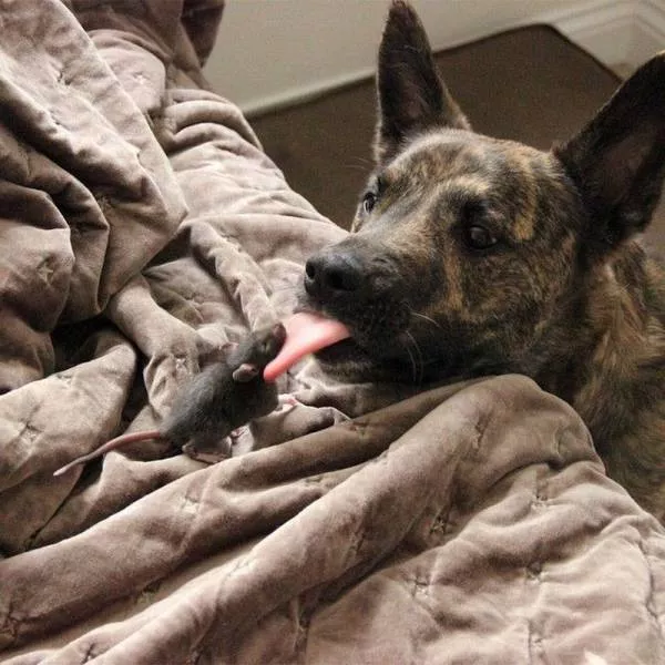 Picdump 20 - #15 