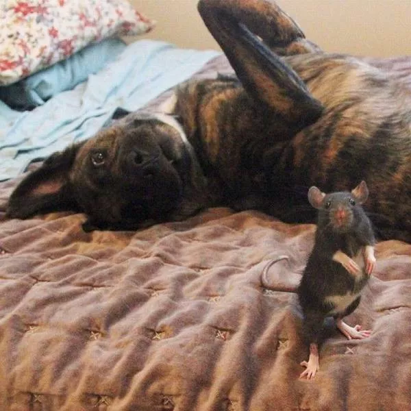 Picdump 20 - #16 