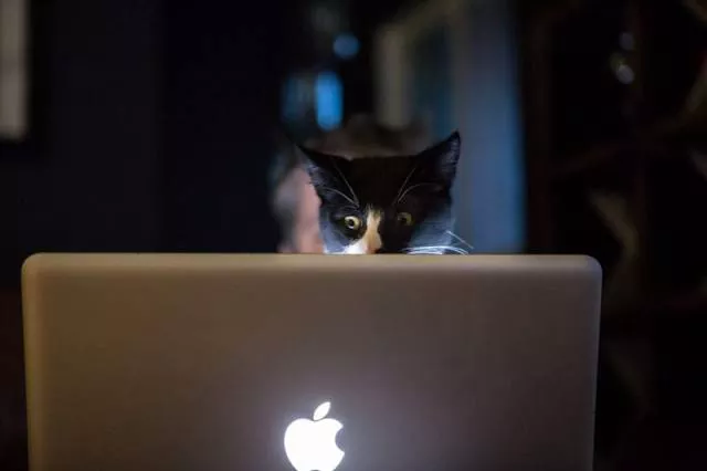 Picdump 20 - #18 