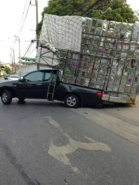 Picdump 20 - #28 
