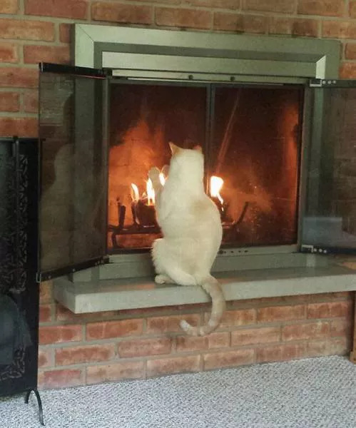 Picdump 20 - #5 