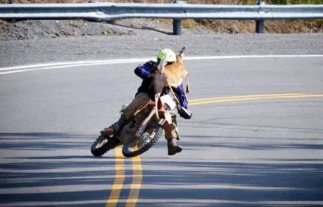 Picdump 20 - #65 Picdump 20 - #65