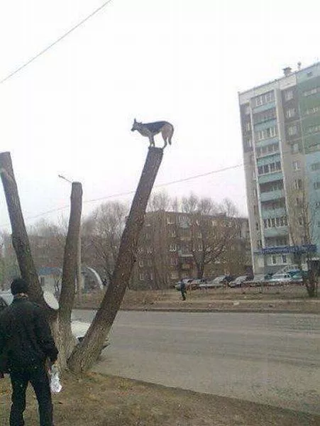 Picdump 20 - #78 Picdump 20 - #78