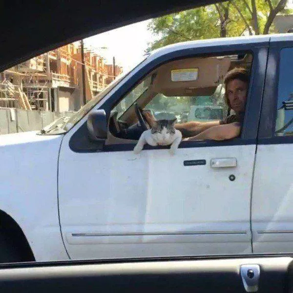 Picdump 20 - #87 