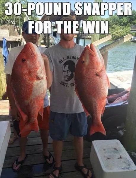 Picdump 151 - #10 