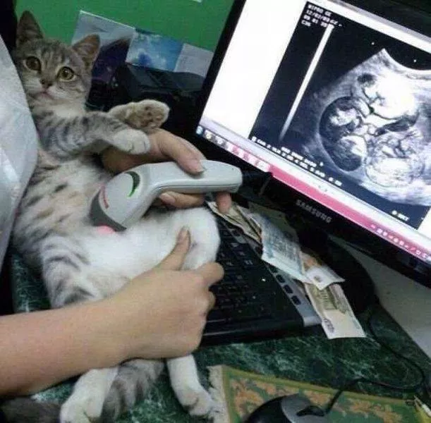 Picdump 151 - #13 