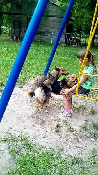 Picdump 151