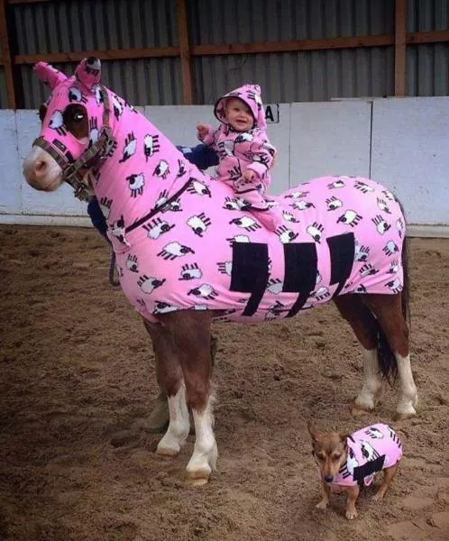 Picdump 151