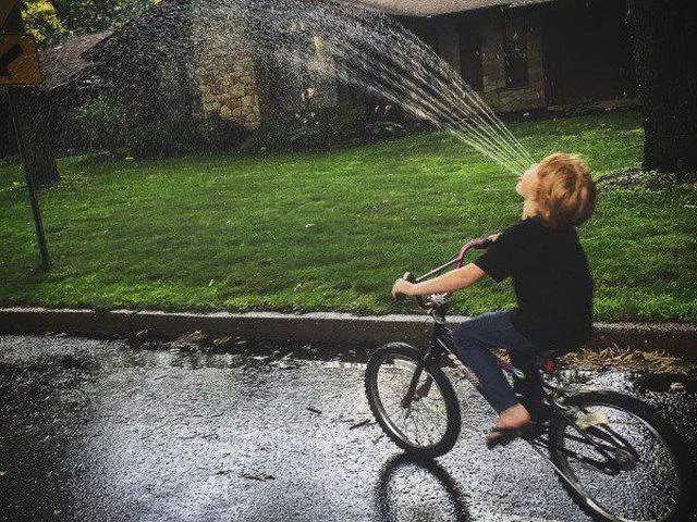 Picdump 151 - #37 