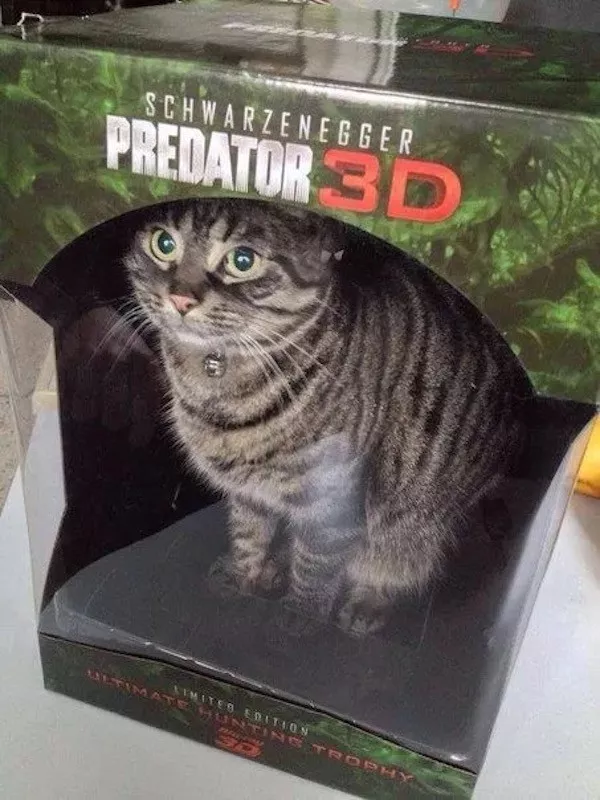 Picdump 1114 - #2 