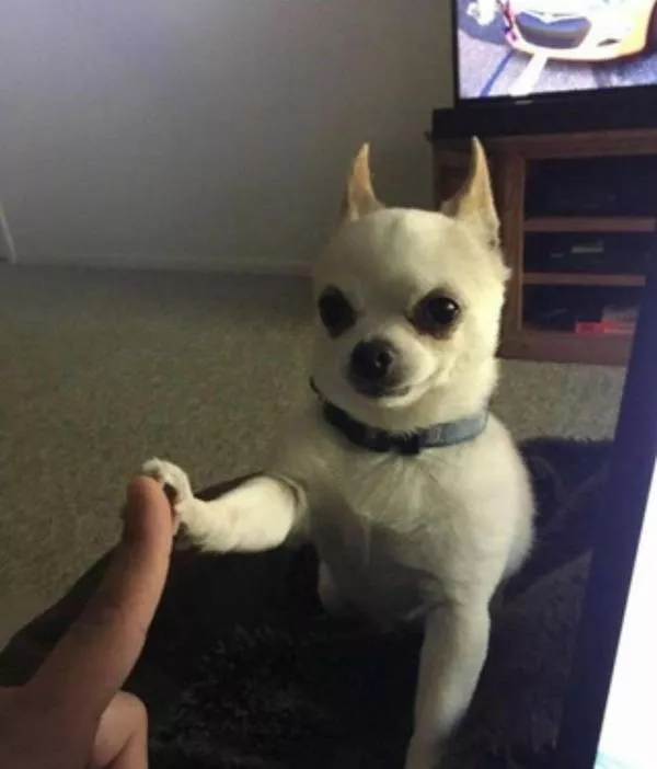 Picdump 1114 - #33 