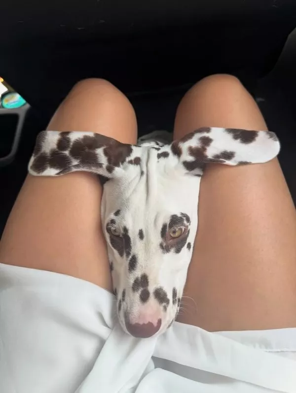 Picdump 1115 - #25 Picdump 1115 - #25