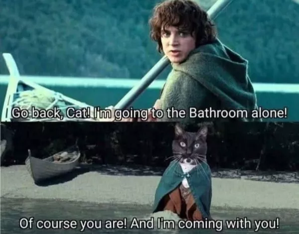 Memes a little too real for my liking - #10 