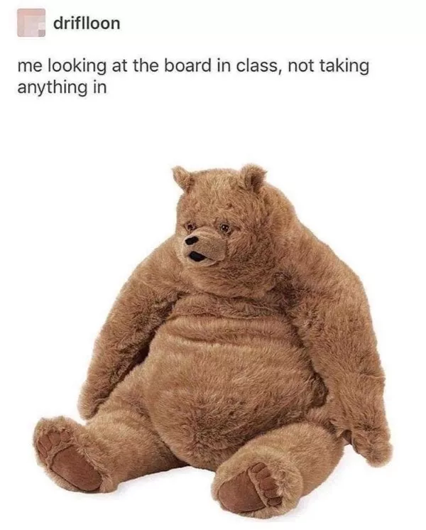 Memes a little too real for my liking - #11 