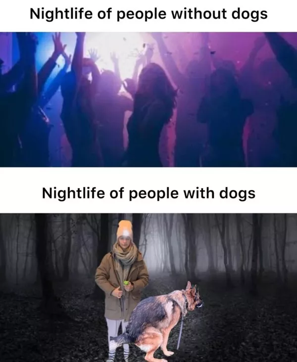Memes trop reels pour etre a mon gout - #12 