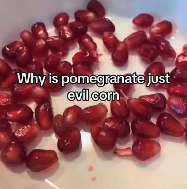 Memes a little too real for my liking - #2 