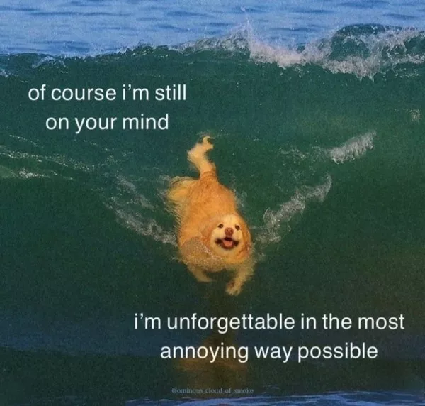 Memes a little too real for my liking - #4 