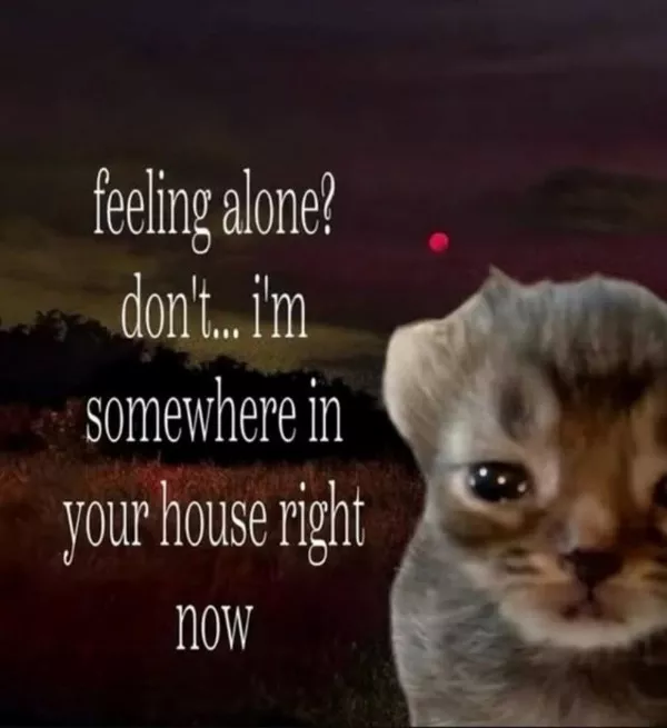 Memes a little too real for my liking - #6 