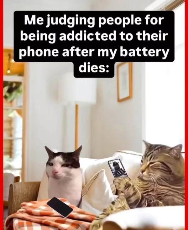 Memes a little too real for my liking - #7 