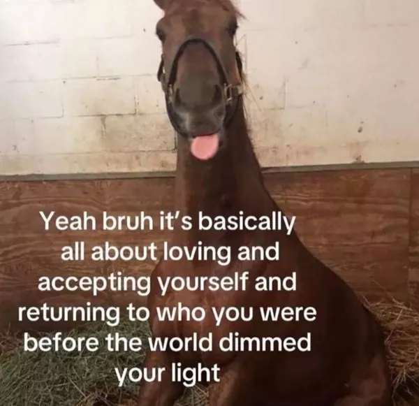 Memes a little too real for my liking - #9 