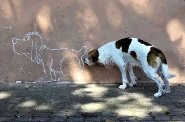 Picdump 1116 - #18 