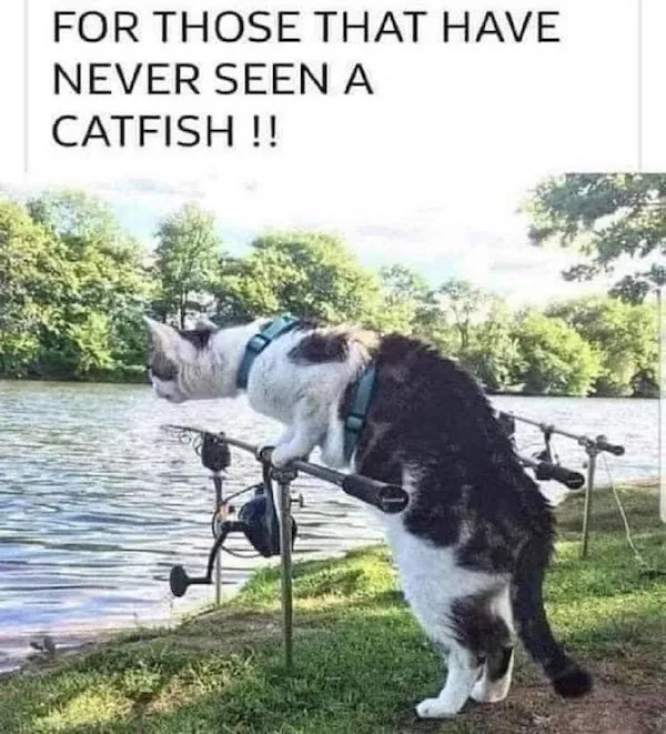 Cheesy memes for a day that sucks - #26 Cheesy memes for a day that sucks - #26