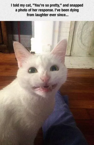 Picdump 152 - #1 