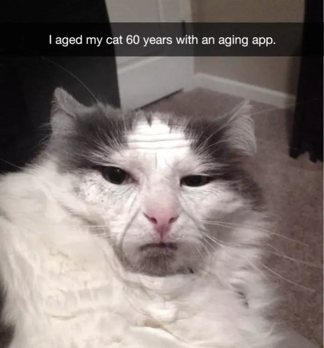 Picdump 152 - #14 